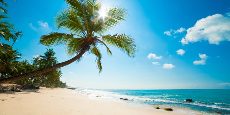 sri lanka palm tree beach cruise pricing