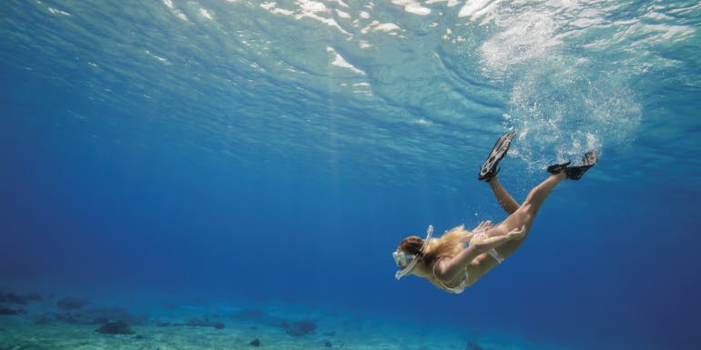snorkel dive swimming excursion cozumel mexico