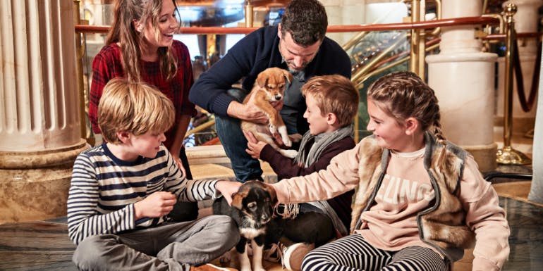 puppies piazza animals princess cruises kids