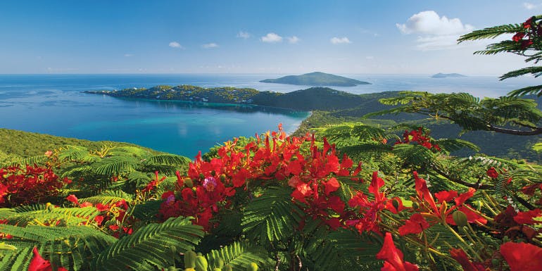 eastern caribbean st thomas cruise month