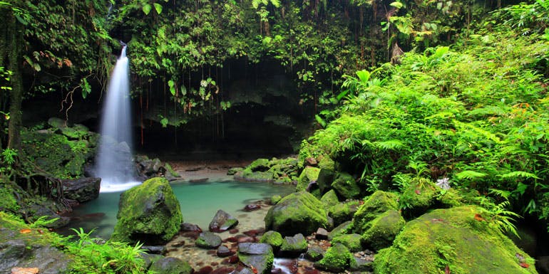 emerald pool morne trois dominica