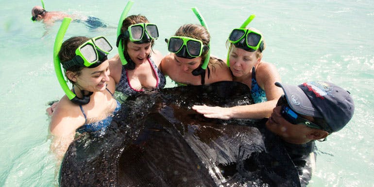 sting ray free excursions cruise special