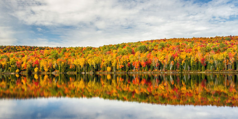 Best New England Fall Foliage Cruises: A Leaf-Peeping Adventure