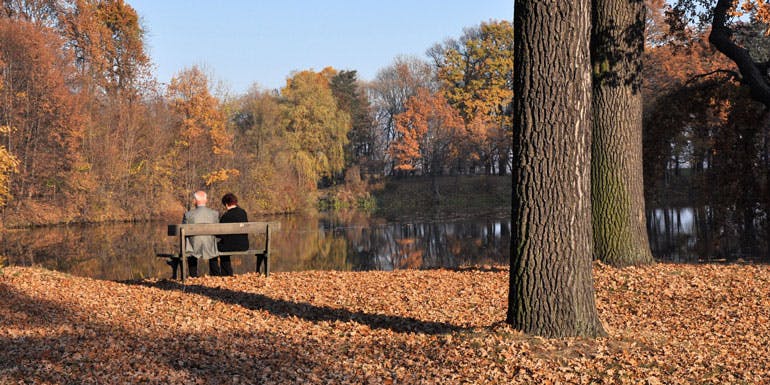 age fall cruises older couple park