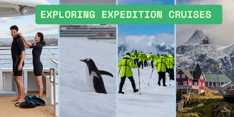 Guide to Expedition Cruises