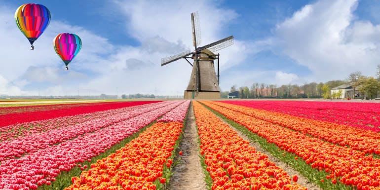 netherlands tulips river cruise holland windmill