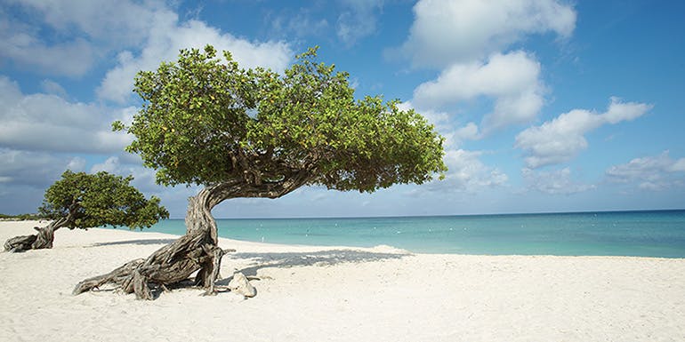 8 Best Things To Do In Oranjestad Aruba