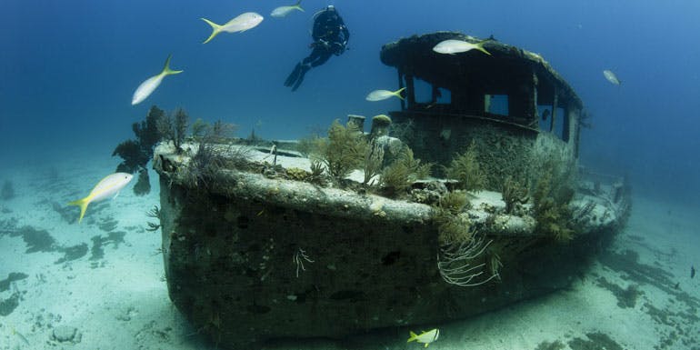 freeport grand bahama scuba shipwreck