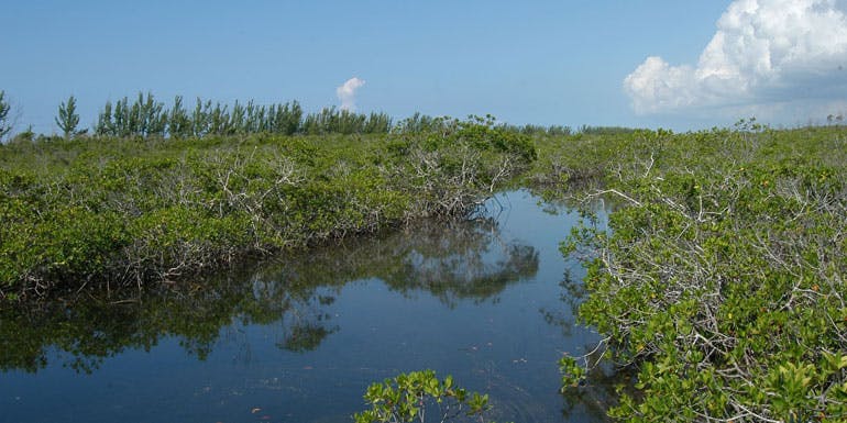 lucayan national park freeport grand bahama