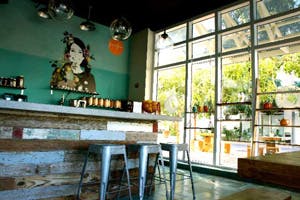 jessies juice bar grand cayman georgetown