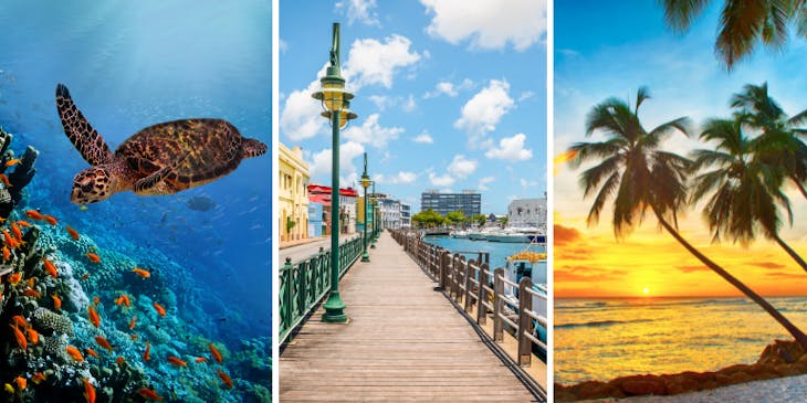 9 of The Best Things to do in Bridgetown