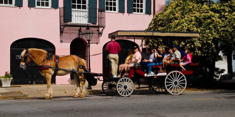 horse carriage tourism charleston south carolina